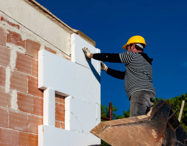 Best Insulation Repair Services  in Paris, TN