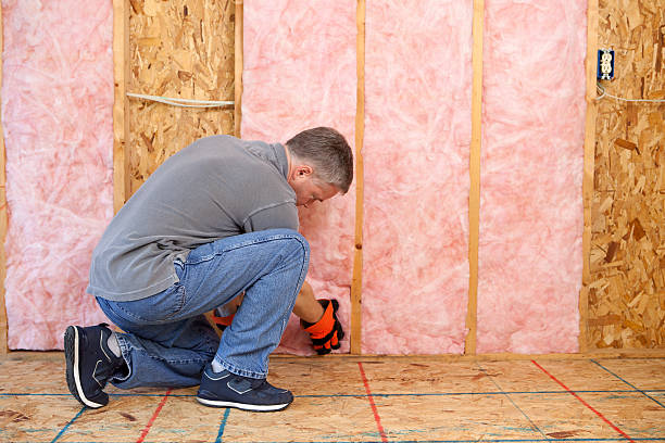 Best Affordable Insulation Services  in Paris, TN