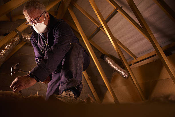 Best Spray Foam Insulation  in Paris, TN